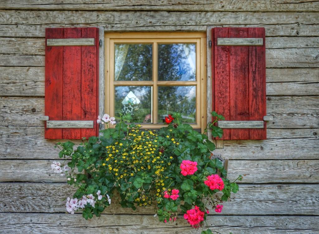 Urlaub Am Bio- Bauernhof Rothof Bauernhof *